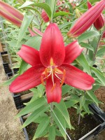 [5573 VH03 No02.JPG]